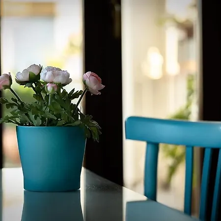 Mama Apartment